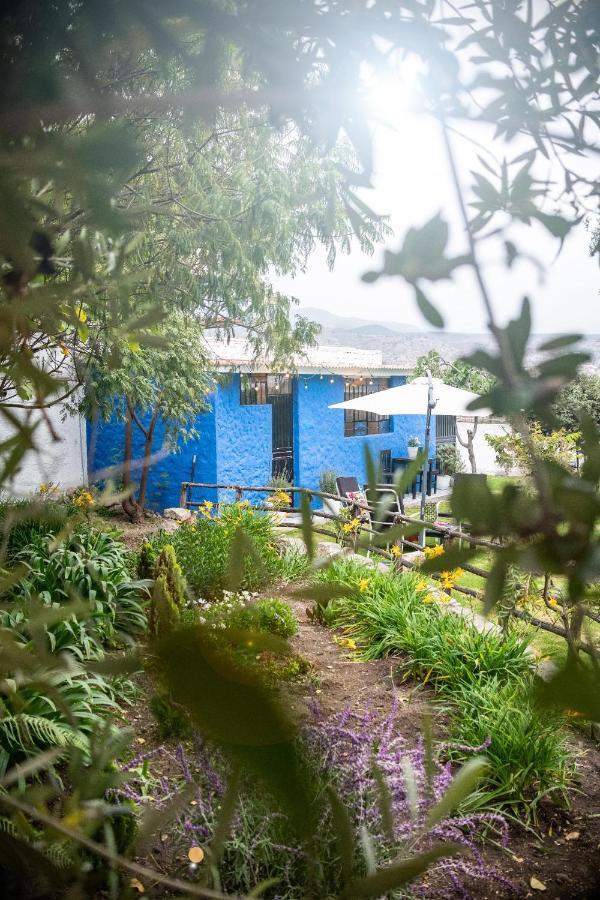 The First Real Bed & Breakfast Hiking Hotel 'The Office' In Arequipa, Peru Exterior foto