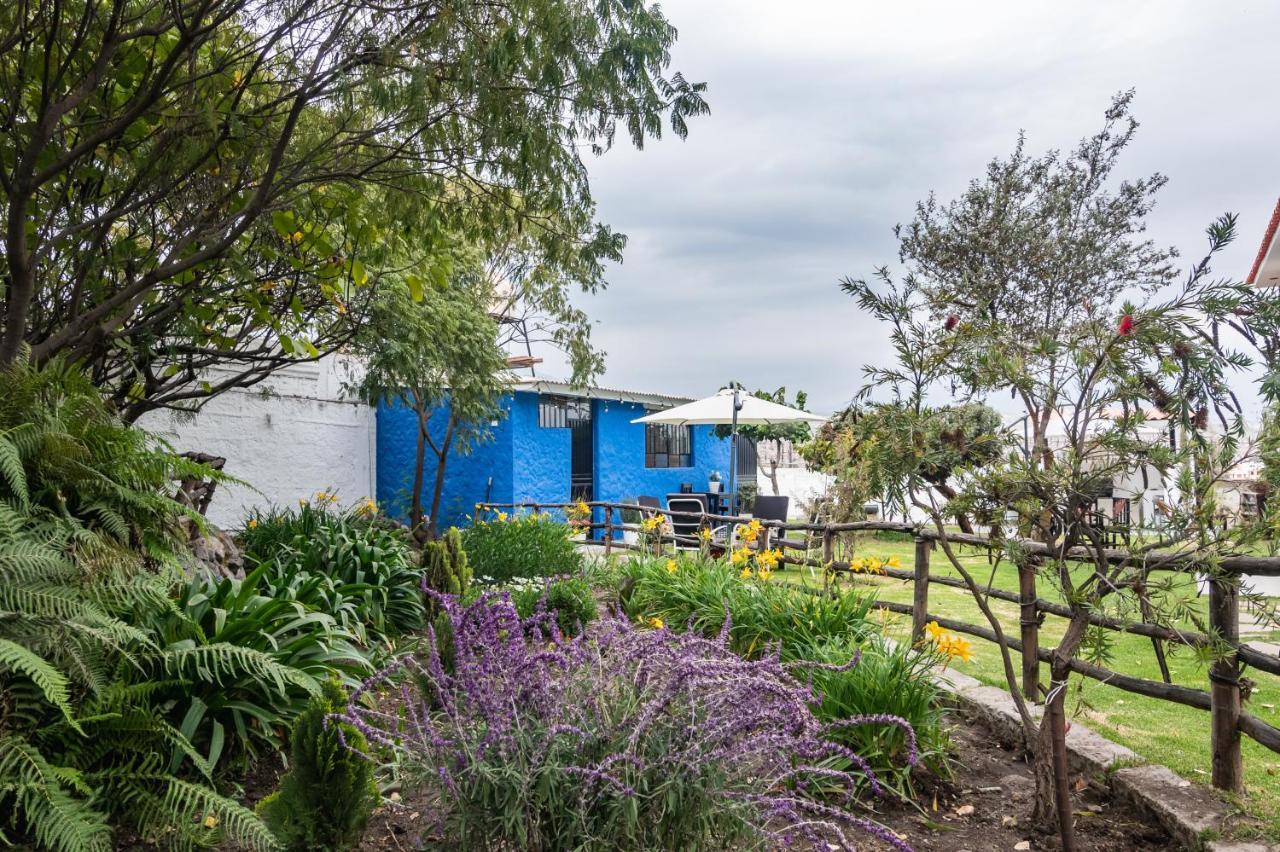 The First Real Bed & Breakfast Hiking Hotel 'The Office' In Arequipa, Peru Exterior foto
