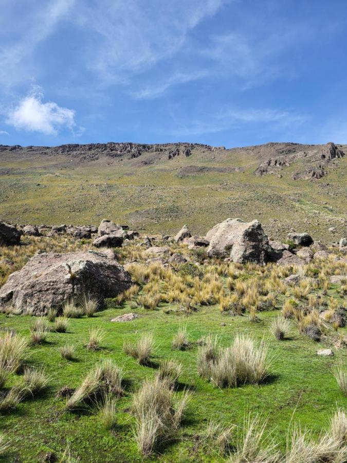The First Real Bed & Breakfast Hiking Hotel 'The Office' In Arequipa, Peru Exterior foto